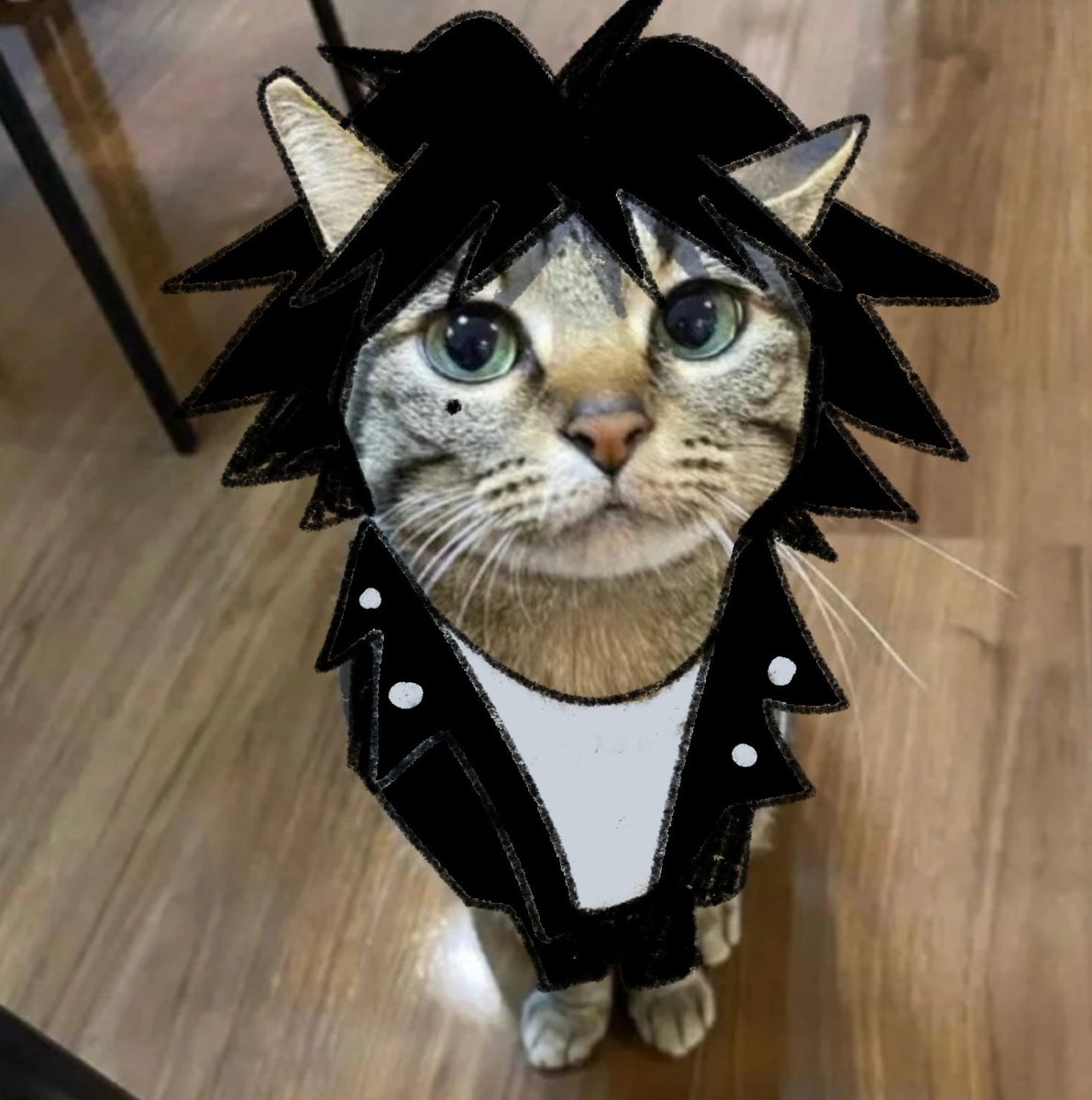 trøff the accursed tweet media