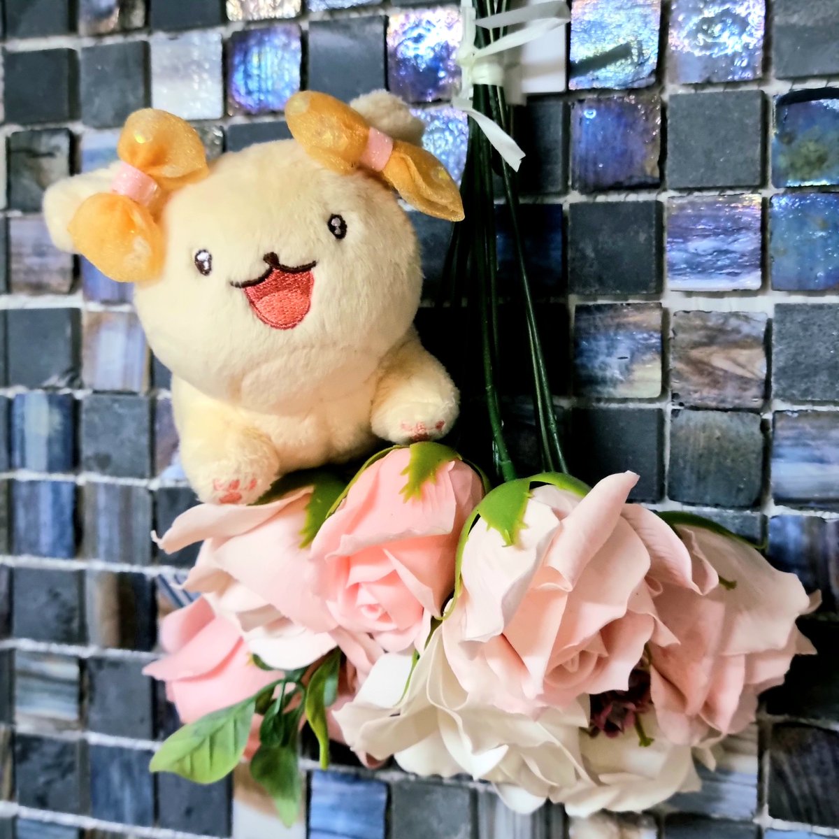 출격! 신콩😘

#왕왕_나만의_작은콩 
#모란솜이_피었습니다