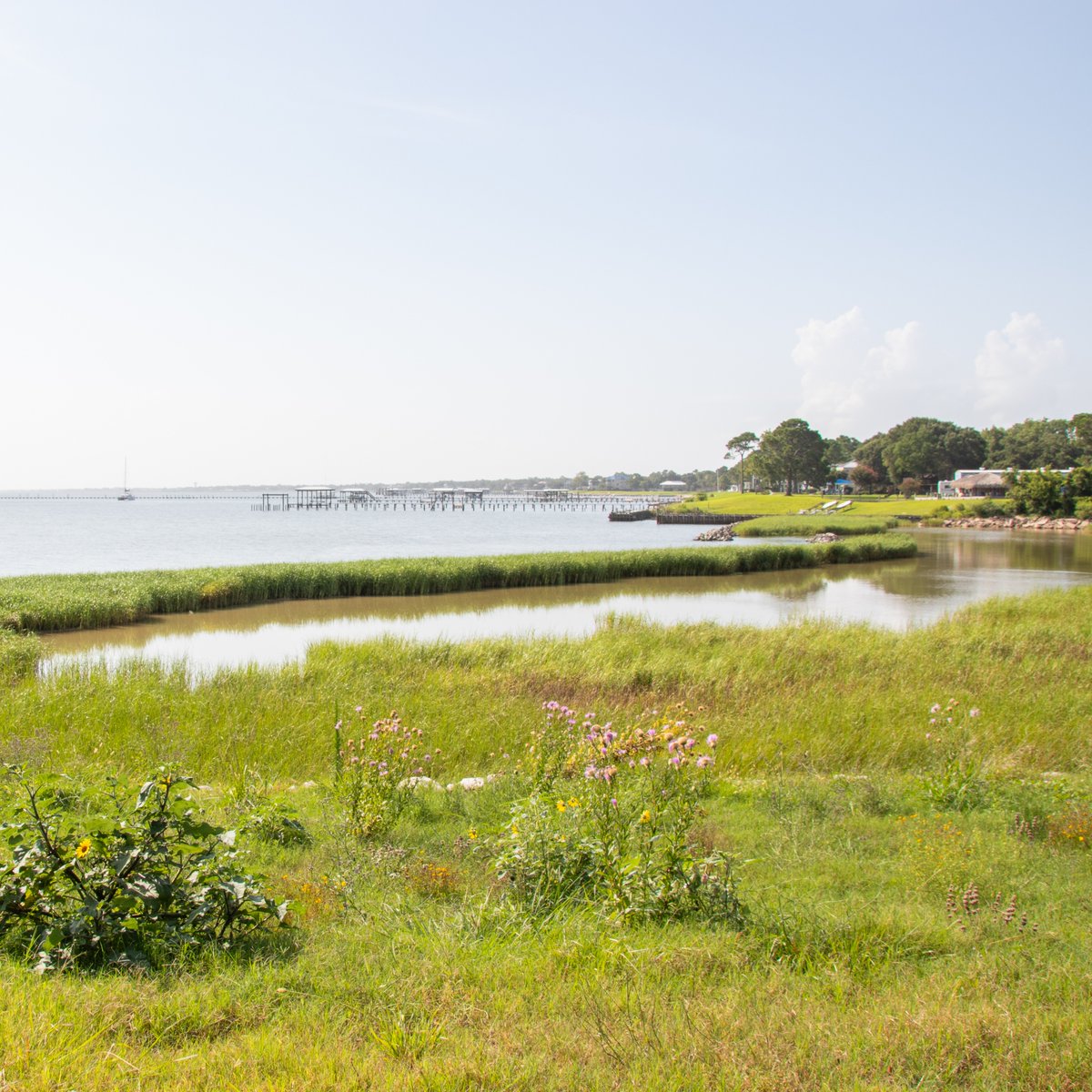 It’s been a difficult few days, but GBF should be back up and running with power and internet by this afternoon.

We know many of you are still struggling and we hope for quick recoveries for all of you. Just like our Bay, our community is resilient.

#HurricaneBeryl