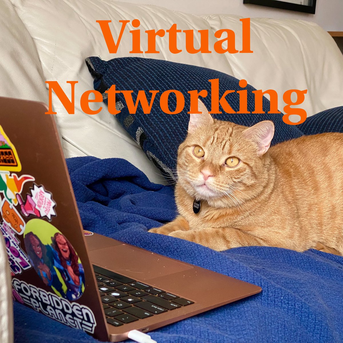 Elana_Brooklyn's tweet image. Do I have any friends or mutuals doing @Netroots_Nation virtually like me? I’ve got two #NN24 sessions and I’m holding down a virtual Happy Hour on Friday.