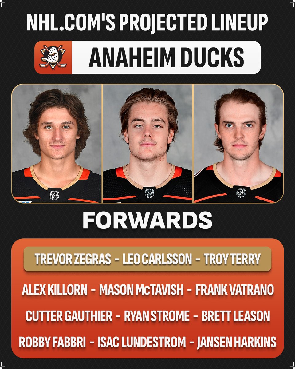 NHL's tweet photo. The @AnaheimDucks have lots of young talent to be excited about in 2024-25! 🦆

Read more at @NHLdotcom ➡️ https://t.co/pyt7rBOcVT https://t.co/E7Rp7lcAWy