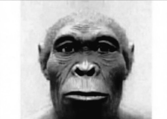 FadelOwade's tweet photo. Moi quand des cinéphiles donnent une mauvaise note à un film que j'ai adoré https://t.co/h0H4Ce90qY