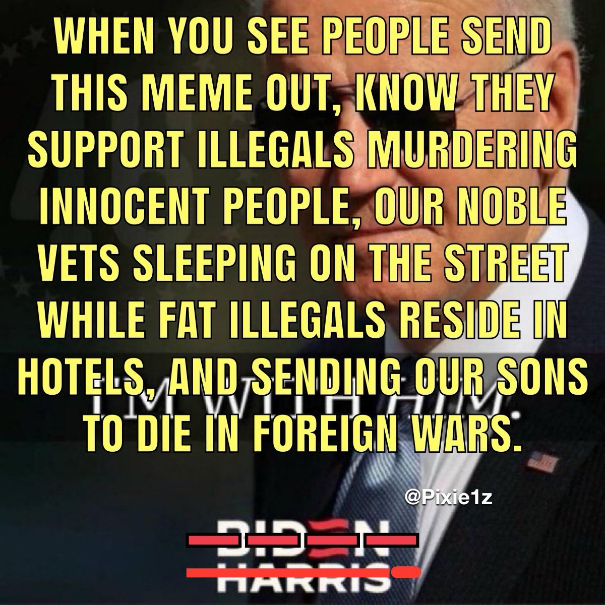 Pixie1z's tweet photo. When you see people send the meme out that says they are with Biden, know they support illegals m*rdering innocent people, they support our noble vets sleeping on the street while the fat illegals reside in hotels, and they support sending our sons to d*e in foreign wars. https://t.co/e6Dor6s7Ff