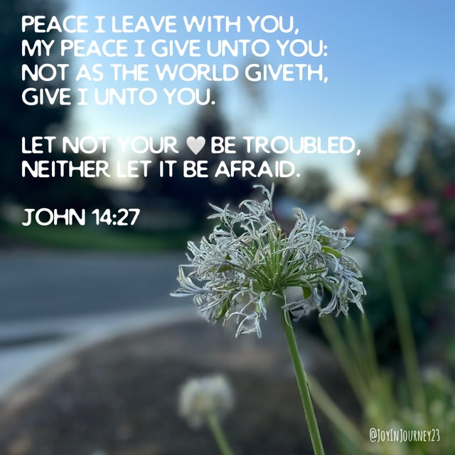 Uneek515's tweet image. There is #JoyInJourney in the Lord’s PEACE. ☮️ 🕊️ ✌🏾 #John14:27
