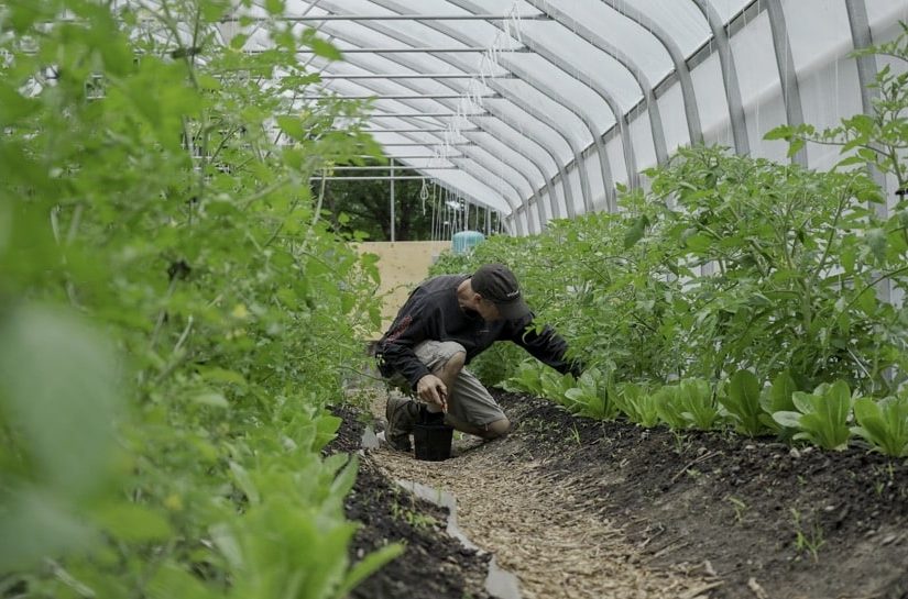 « Vendredi matin 9 h, c’est un peu frisquet, mais le soleil brille en cette journée de fin juin. J’arrive au terrain tout près du lac Saint-Joseph où, depuis le mois de juin, une serre communautaire a été érigée. »
journalacces.ca/cahier-de-la-s…