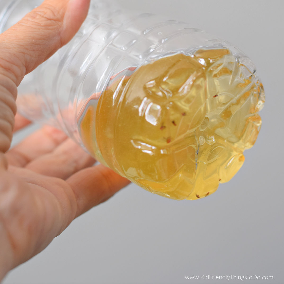 DIY Fruit Fly Trap kidfriendlythingstodo.com/diy-fruit-fly-…