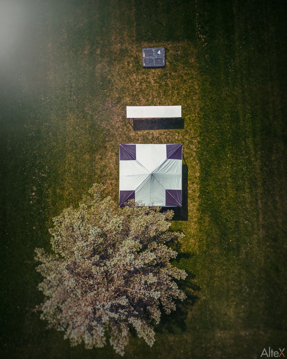 AlteX Academy tweet media