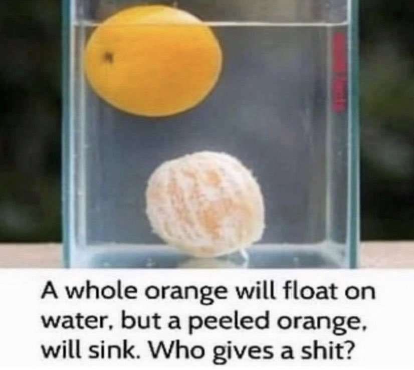 ShitpostGate's tweet photo. True https://t.co/pJHGdruvTH