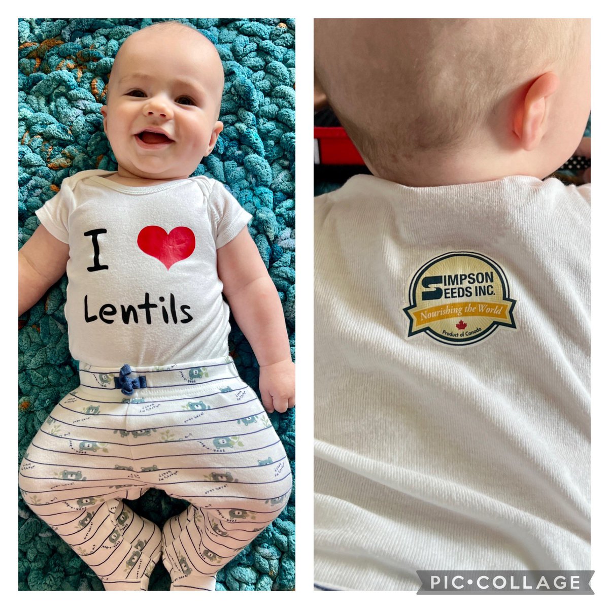 janakitts's tweet photo. Davin modelling this fantastic #local family company @simpsonseeds #nourishingtheworld #saskgrownlentils https://t.co/YwNTREQbyK