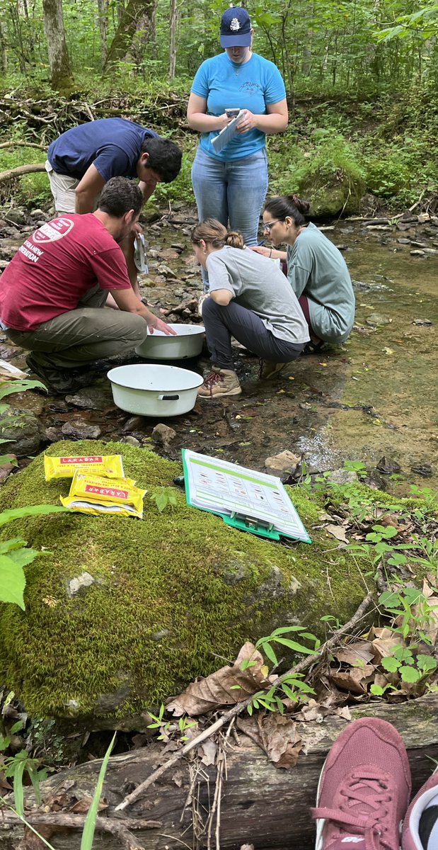 Justin McFadden (@readysetsci) on Twitter photo More pics from the field/lab of BIO-RETS teachers conducting urban-based ecological research with biologists from <a href="/uofl/">University of Louisville</a> <a href="/UofLEngaged/">UofL Office of Community Engagement</a> <a href="/UofLCEHD/">College of Education</a> More pics from the field/lab of BIO-RETS teachers conducting urban-based ecological research with biologists from <a href="/uofl/">University of Louisville</a> <a href="/UofLEngaged/">UofL Office of Community Engagement</a> <a href="/UofLCEHD/">College of Education</a>