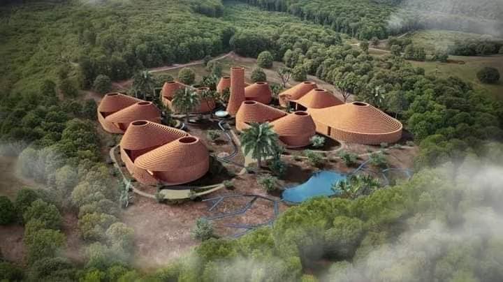 African Hub tweet media