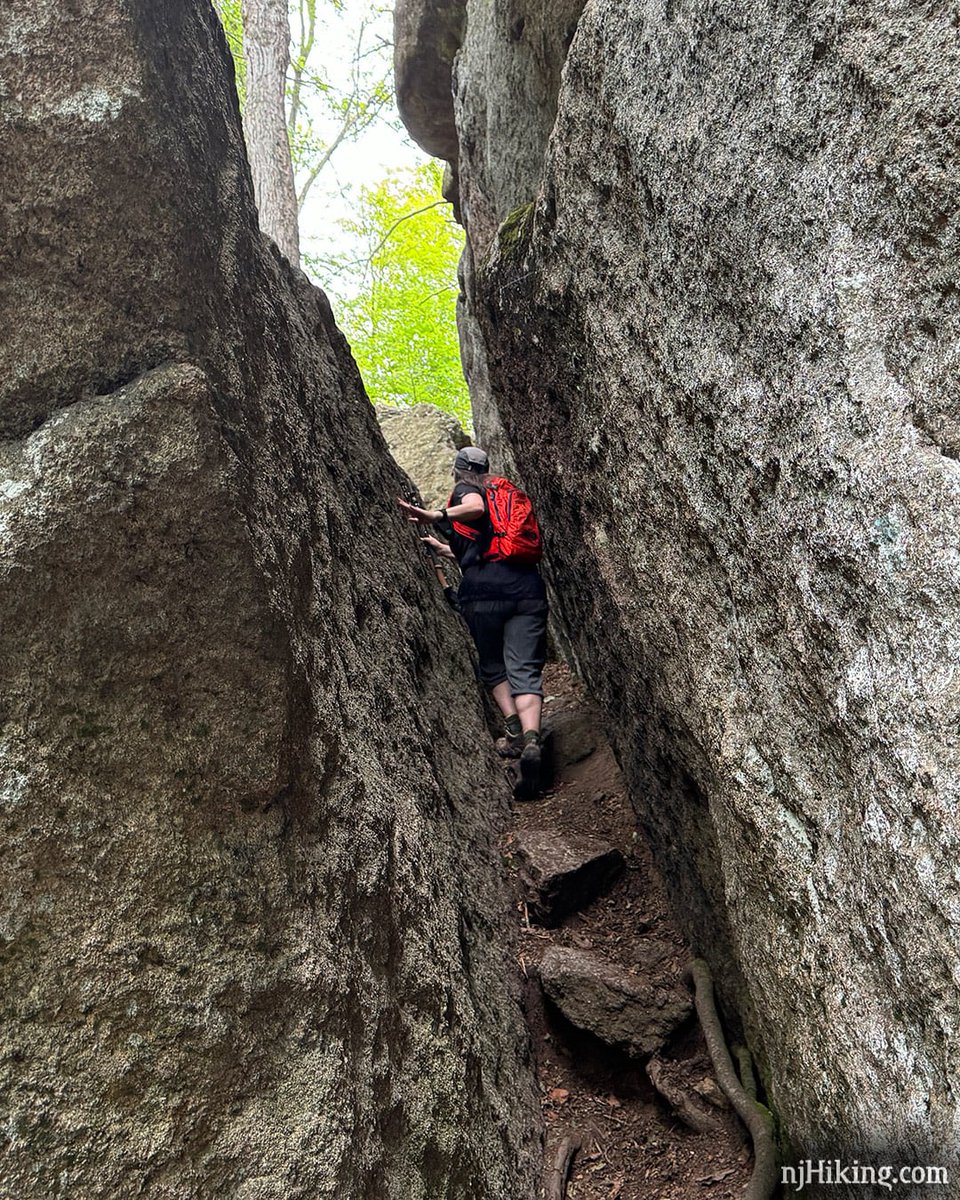 Lemon Squeezer – Appalachian Trail. Hike guide: njhiking.com/best-hikes-lem…

Scramble through the Lemon Squeezer and hike past Island Pond, Boston Mine, Green Pond, and the Valley of Boulders.

📍 Harriman State Park, New York (just over the NJ border)