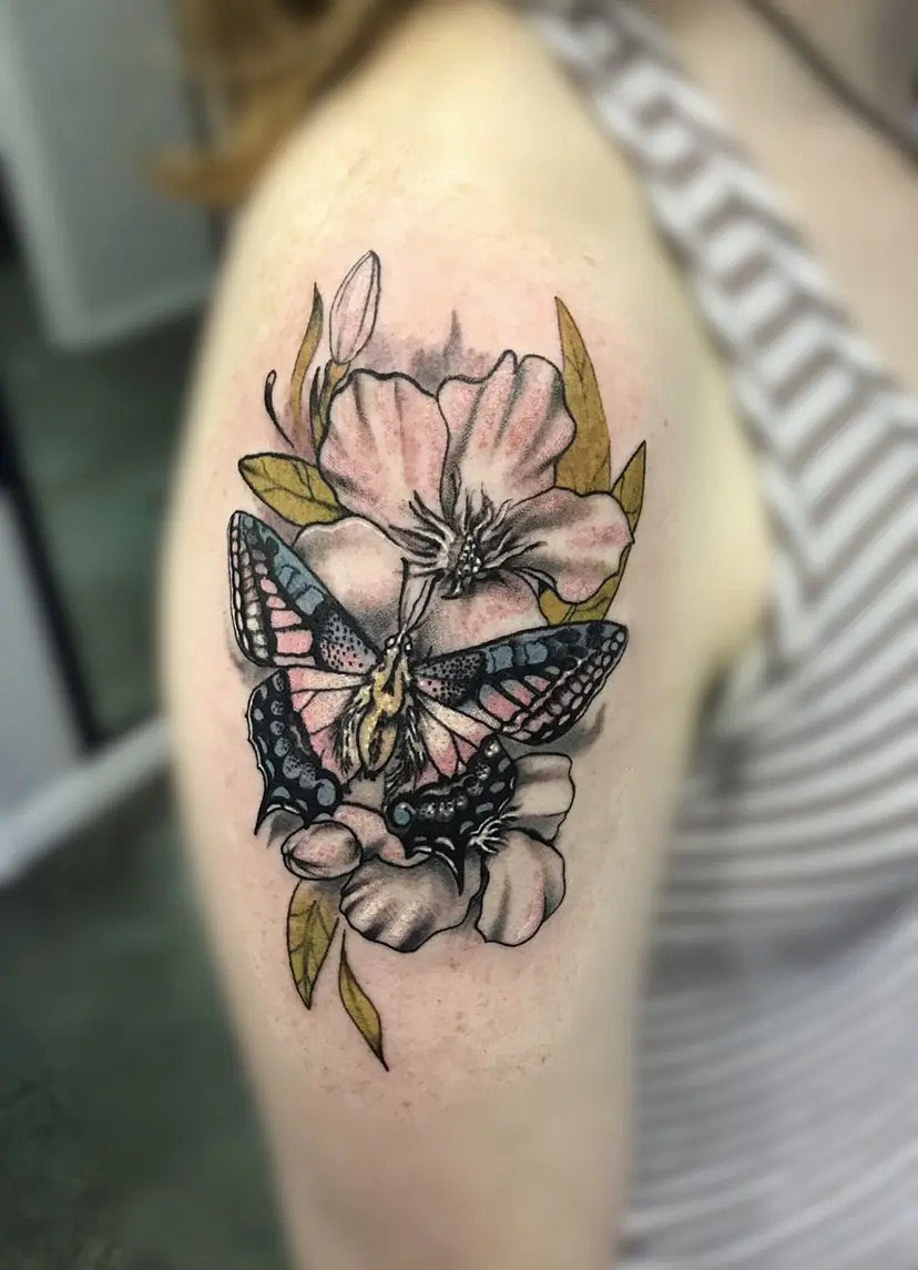 JB (33.3%) 🍟🖕 tweet media