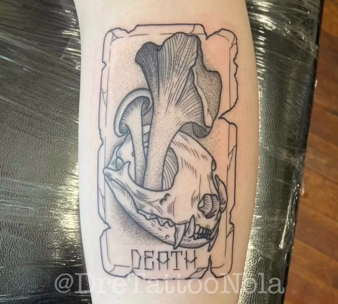 JB (33.3%) 🍟🖕 tweet media