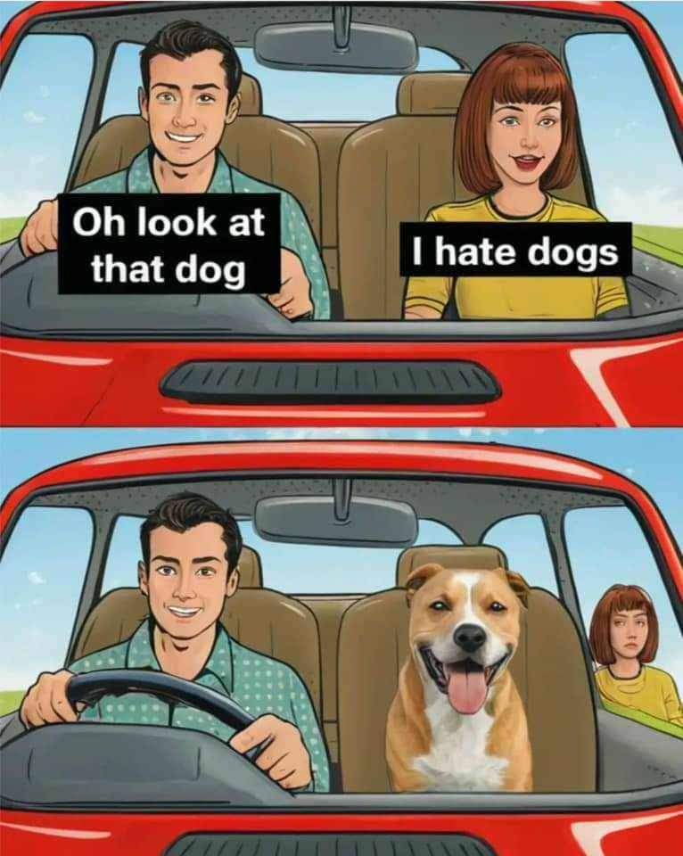 HeckinGoodDogs's tweet photo. https://t.co/eeM56BB6af