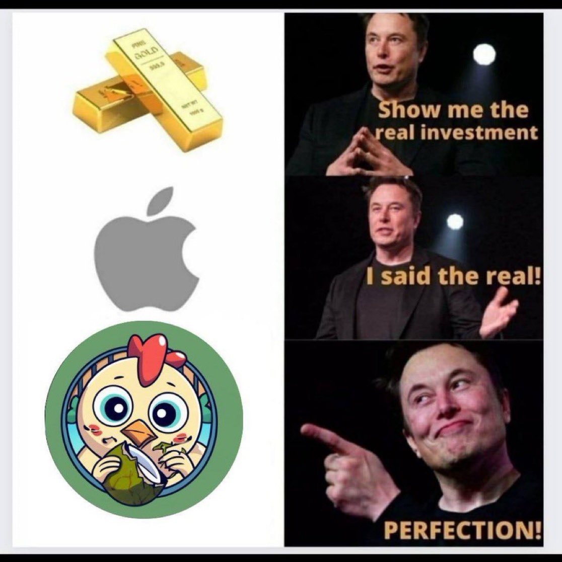 Cryptoking280's tweet image. Is it #MemeCoinSeason right now?
Shill me your favourite #memecoim