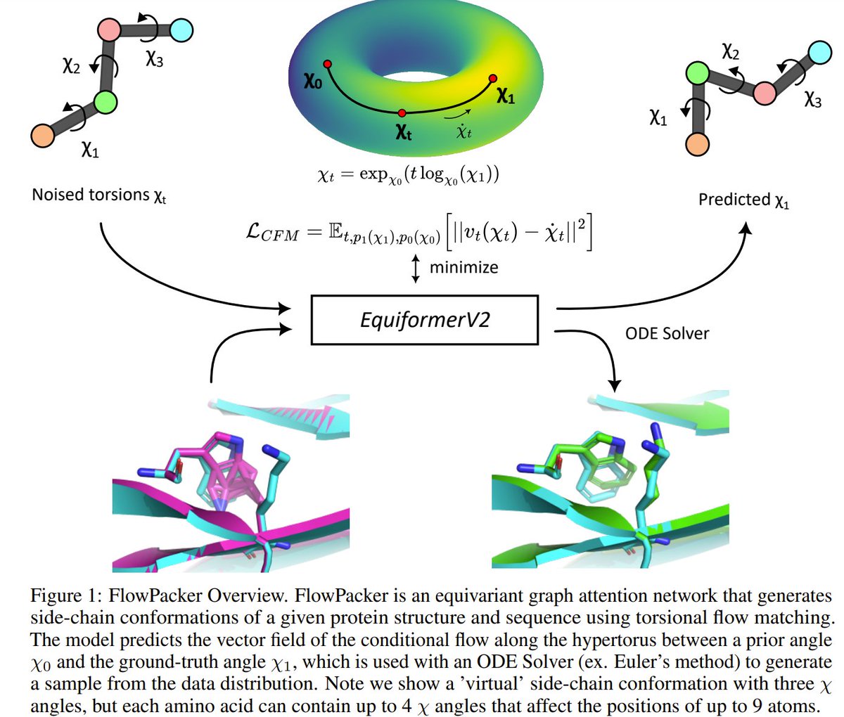 Leo Zang tweet media