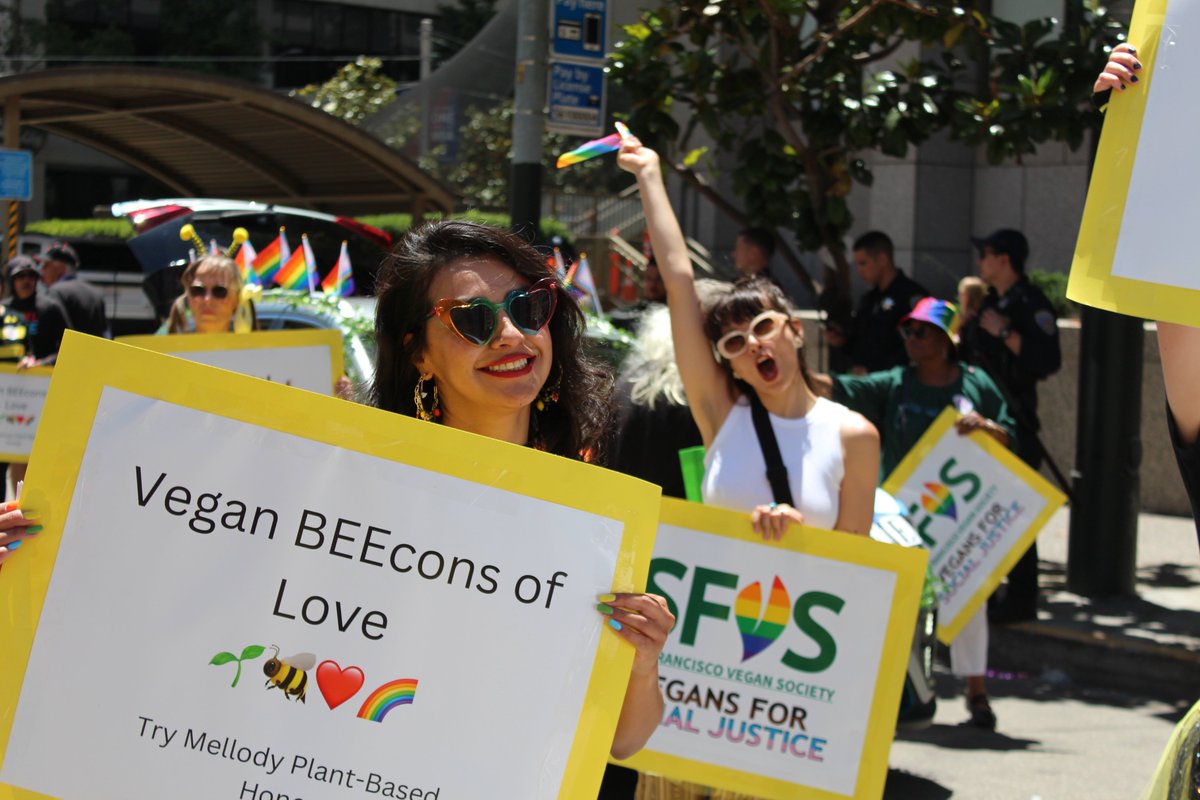 MeliBio (@melibioinc) on Twitter photo At MeliBio, we believe in supporting and celebrating our diverse and vibrant community. That's why we were thrilled to support #SanFranciscoPride 2024 by sharing our <a href="/mellodyfoods/">Mellody Plant-Based Honey</a> plant-based honey samples with attendees ❤️🌈 At MeliBio, we believe in supporting and celebrating our diverse and vibrant community. That's why we were thrilled to support #SanFranciscoPride 2024 by sharing our <a href="/mellodyfoods/">Mellody Plant-Based Honey</a> plant-based honey samples with attendees ❤️🌈