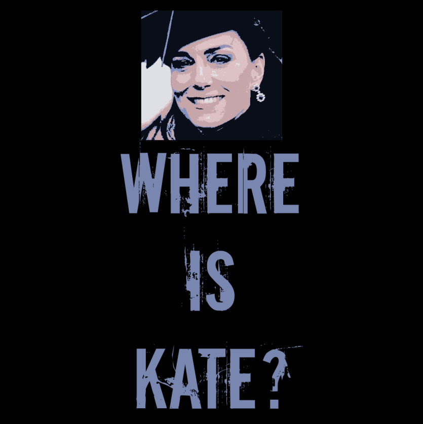 NWDisorder1111's tweet photo. 199 days ago, Kate was seen with her family on Christmas Day. 

She then disappeared from the public for 173 days until allegedly appearing at Trooping the Colour.   

That was 26 days ago and there have been no sightings of her.   

#WasThatKate 
#WhereIsKate 
#RoyalDeception https://t.co/uYHdD8Q9IX