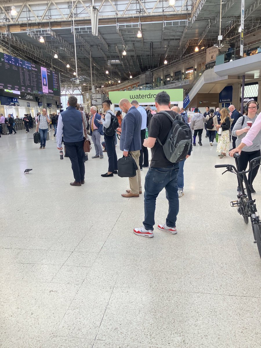 Lucy Pollock tweet media