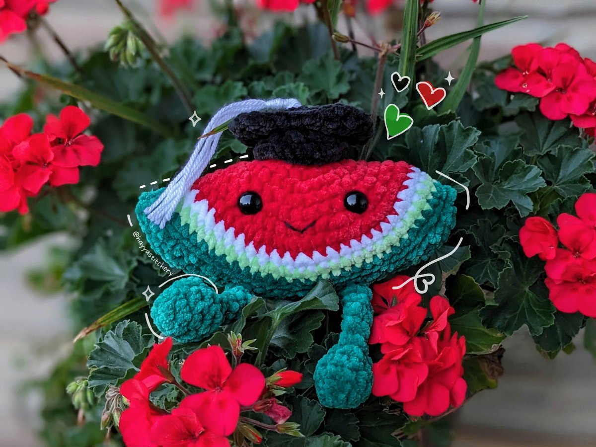 Hayyastitchery's tweet photo. Crochet Watermelon Buddy Plushie 🍉✨🧶

For every watermelon buddy sold, 50% of the proceeds will be donated to help families in Gaza via @IDRFcanada .these will be available as made-to-order starting tomorrow! https://t.co/AvrAeaIAPa