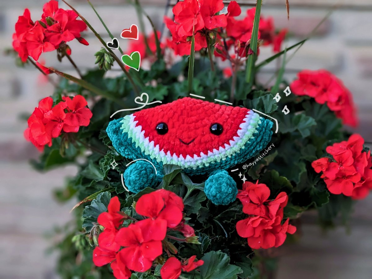 Hayyastitchery's tweet photo. Crochet Watermelon Buddy Plushie 🍉✨🧶

For every watermelon buddy sold, 50% of the proceeds will be donated to help families in Gaza via @IDRFcanada .these will be available as made-to-order starting tomorrow! https://t.co/AvrAeaIAPa