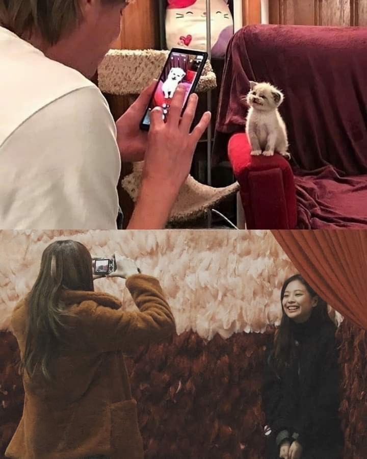 bebuninie's tweet photo. lisa nd her kitten https://t.co/U0P6mJzKmq