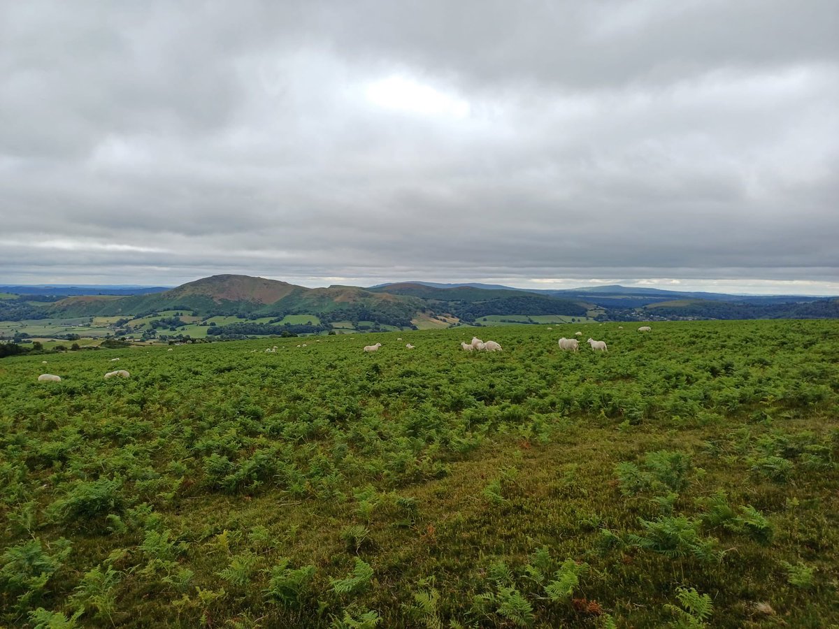 Finham Park DofE tweet media