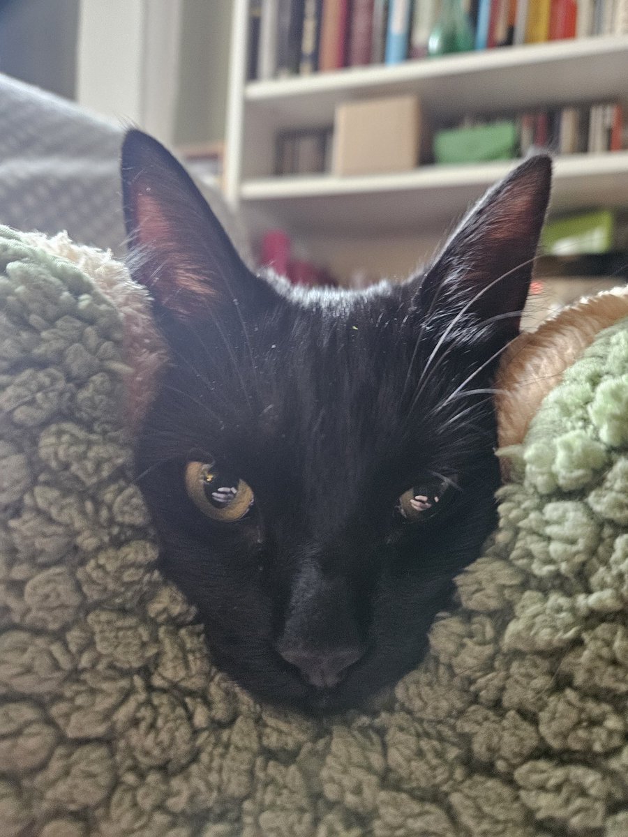 Mark Wardell tweet media