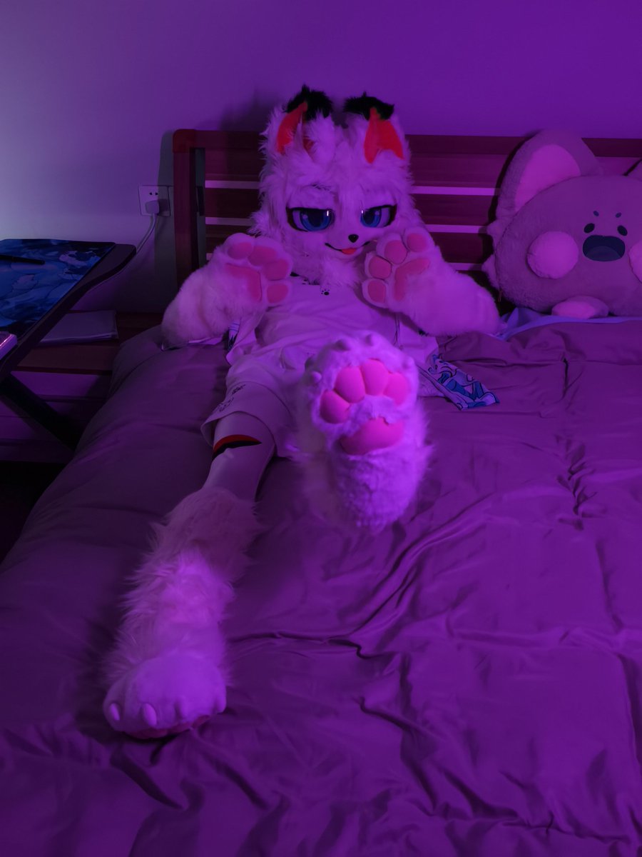 狐狸摆烂了 tweet media