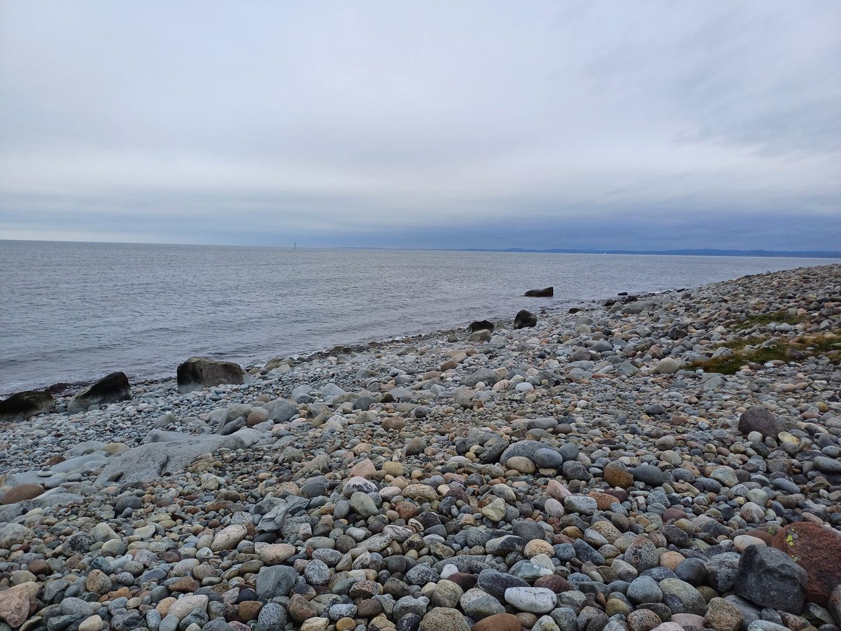 KrtDm's tweet photo. Excursion day during @EAPR_potato Triennial conference @eapr2020. Visiting farmers and packing station.  And not to forget the wonderful nature of Mølen Norvegica Geopark. https://t.co/BrqS293RUJ