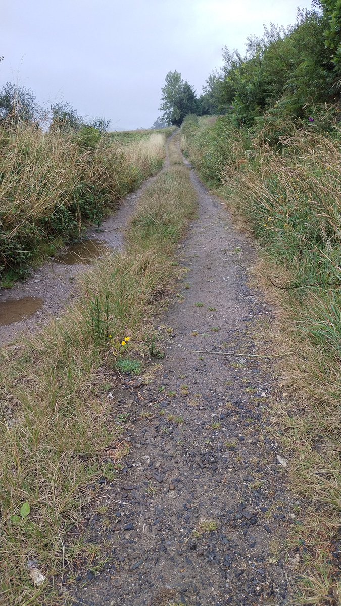 Así, otra toma más del acceso a playa de Barreira 🤔