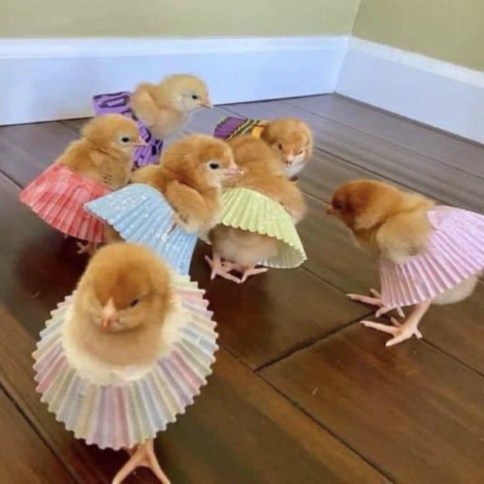 Drunk girls in the club bathroom [1886,  colorized] https://t.co/Y3uMnZM5Jc