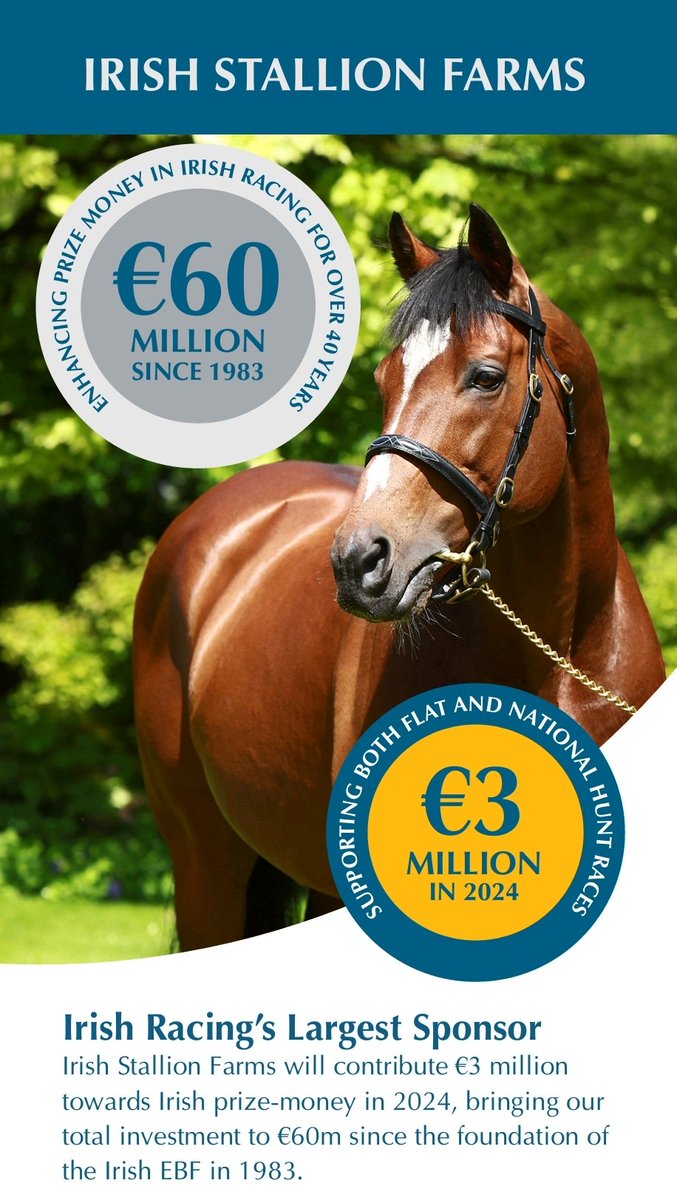 IrishEBF_'s tweet photo. FOUR BLONDES (by Gleneagles @coolmorestud) wins the #IrishEBF Maiden @Fairyhouse for @rosullivan82 Shane Foley &amp; owner John Bowden 🏆👏🏆

#EBFGoodForRacing 🐎🐎
#HorseRacing https://t.co/jfE51MTZe9