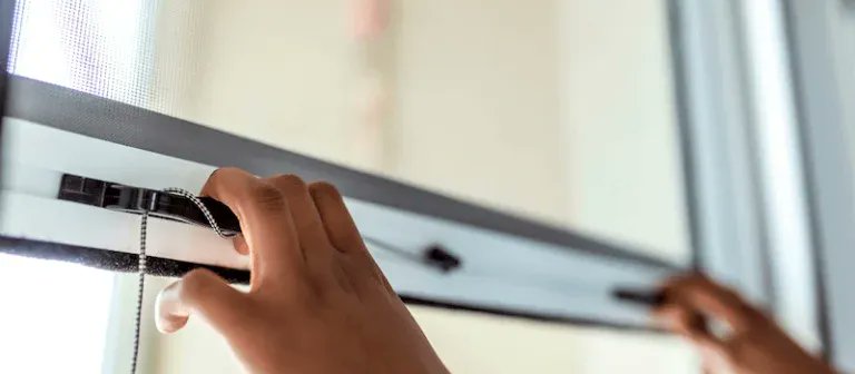 Las #mosquiteras son imprescindibles para protegernos de los insectos en #verano. En esta guía analizamos las características a tener en cuenta para elegir la mejor opción para tu #hogar. 
👉 cutt.ly/4egWOg3u
#bricolaje #mujermanitas #territoriopractico #bricolajecasero