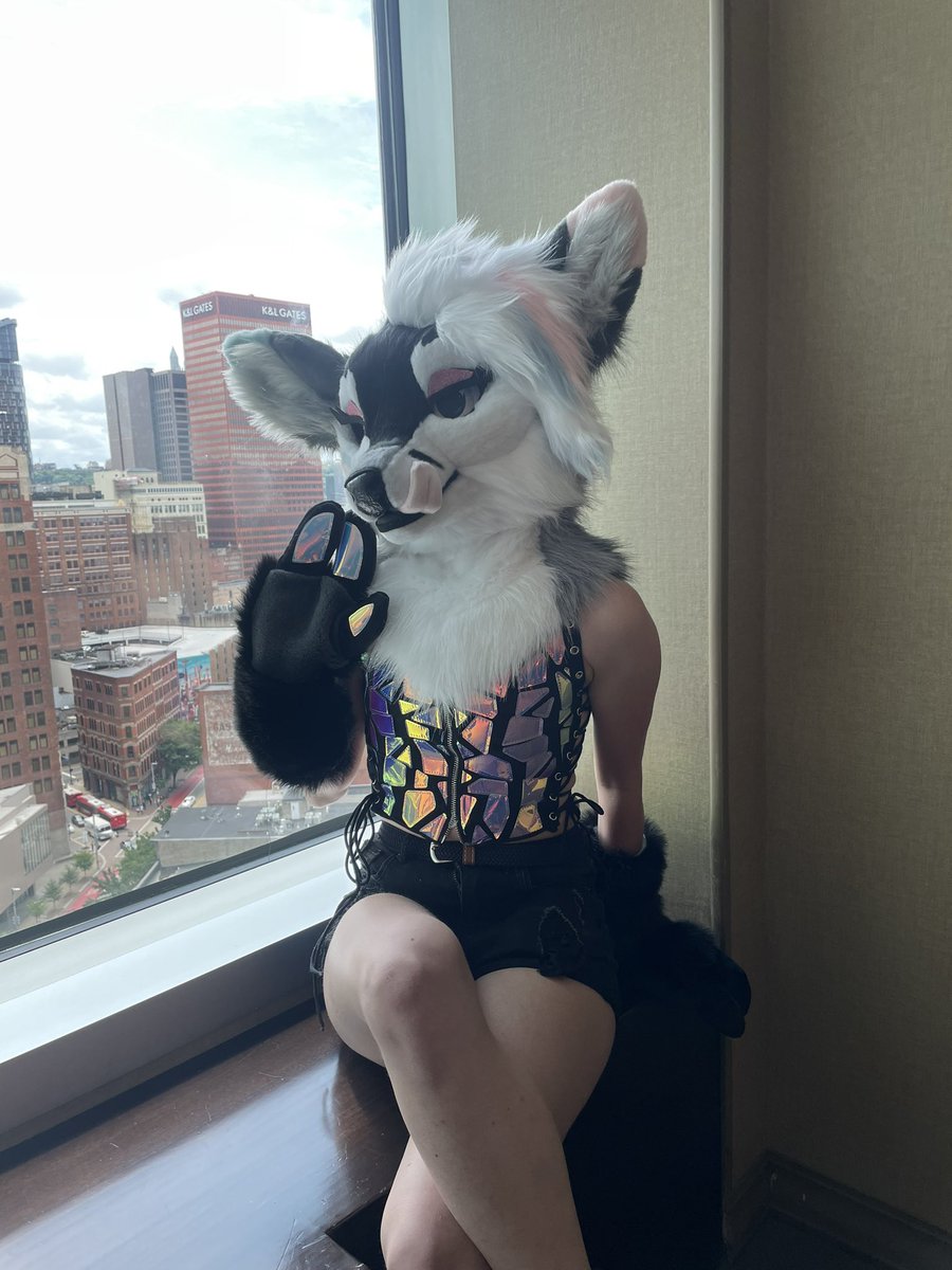 Fin and Fur tweet media
