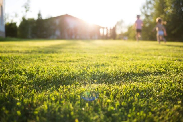 MeritInsuranceG's tweet photo. Find out the best and easiest ways to update your home, inside and out, for the summer weather. https://t.co/j81OmbEQDi https://t.co/xAnausukpB