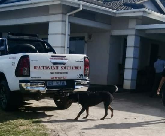 _ArriveAlive's tweet image. Mozambican spitting cobra attack dogs in Everest Heights  shorturl.at/Pg3Iw

#ArriveAlive #SnakeAttack @ReactionUnitSA