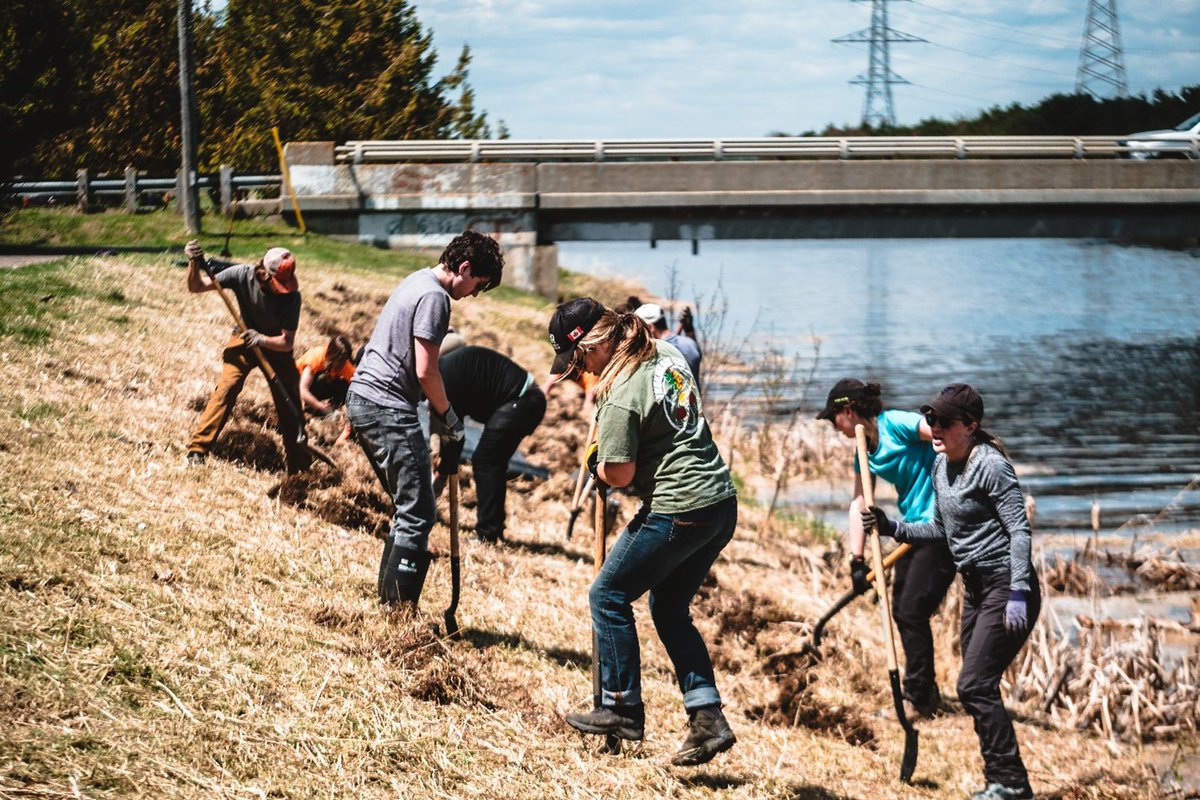 WaterAgencyCAN's tweet photo. Invasive Reed Canary Grass grows up to 6 feet often in thick stands. With funding from @environemtnca, @lakeheadregion helped stop its spread in the Thunder Bay #AreaOfConcern.
Learn more: https://t.co/AbN544fd3i. https://t.co/u5c5SPkbTl