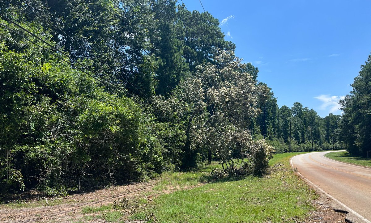 Dear <a href="/reliantenergy/">reliantenergy</a> &amp; <a href="/CenterPoint/">CenterPoint Energy</a> 

Both trees are down off...

Honea-Egypt Road
Northbound lane
Near intersection with Country Oak Court