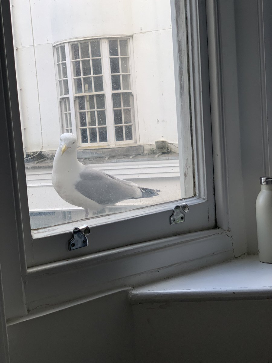 Staying in a Brighton AirBnB POV #DevelopBrighton