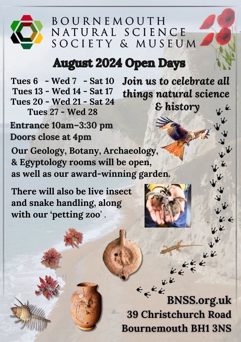 Bournemouth Natural Science Society & Museum (@bnss1) on Twitter photo 