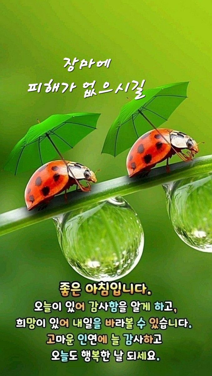 MacGyver(🇰🇷대한민국🇰🇷) tweet media