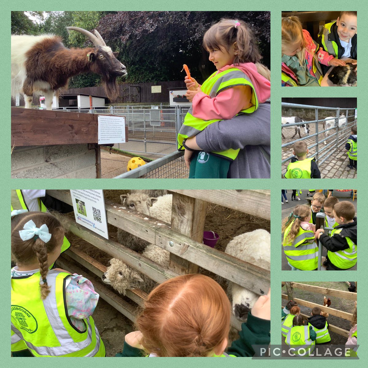 WellesbourneNur's tweet photo. Nursery children had a wonderful trip to @CroxtethFarm today. They loved getting close to the animals and finding out how to care for them. @WellesbourneSch https://t.co/bANJzYVfif