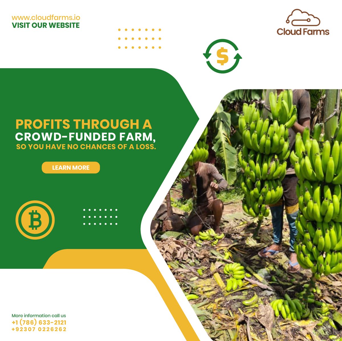 cloudfarms_io's tweet photo. Gain profits through a crowd-funded farm, so you have no chance of a loss.
🔗 https://t.co/mllbsIsQce
📞 +1 (786) 633-2121
#blockchaininfarming #smartfarming #cloudfarms #farminvestment #agriculture #farmlandforsale #agribusiness #FarmingSolutions #digitalfarming #investnow https://t.co/oQxdtICXbC