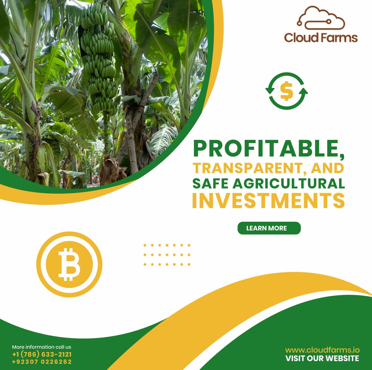 cloudfarms_io's tweet photo. Cloudfarms provides profitable farming simply with blockchain technology
🔗 https://t.co/mllbsIsimG
📞 +1 (786) 633-2121
#blockchaininfarming #smartfarming #cloudfarms #farminvestment #agriculture #farmlandforsale #agribusiness #FarmingSolutions #digitalfarming #investnow https://t.co/YOz4iECMQb