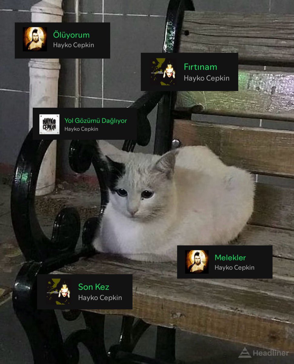 Headliner (@headlinertr) on Twitter photo 