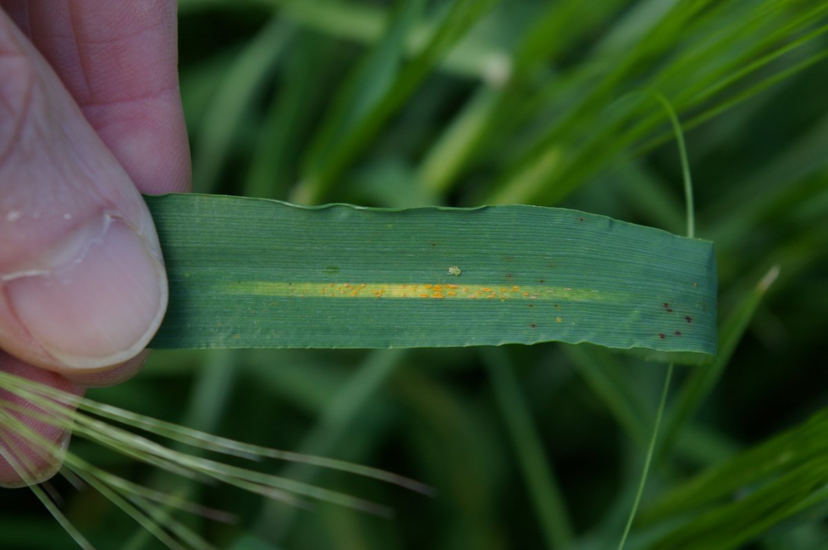 Simon Goodger tweet media