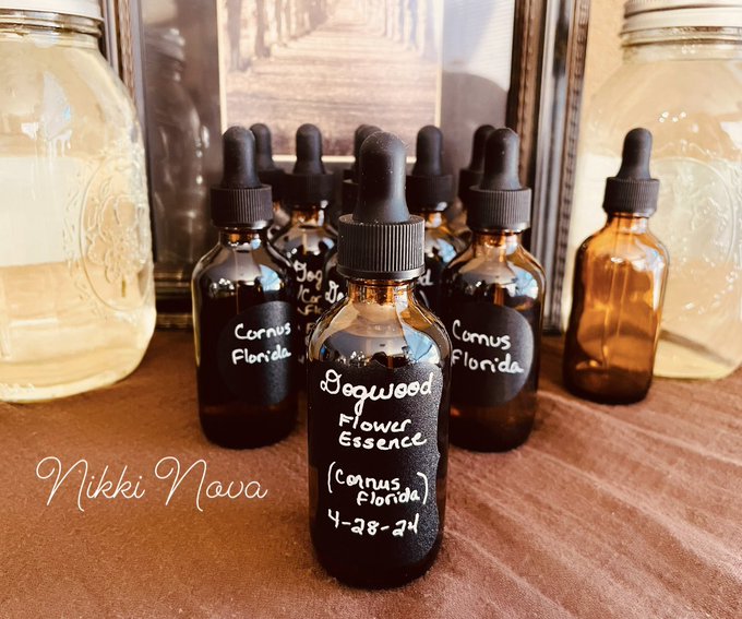 I've made several medicinals, over the past few months (mostly tinctures &amp; flower essences). Been busy<a href="/tag/fun"class="tags"><span>#fun</span></a><a href="/tag/summer"class="tags"><span>#summer</span></a><a href="/tag/puppylove"class="tags"><span>#puppylove</span></a><a href="/tag/dogs"class="tags"><span>#dogs</span></a>