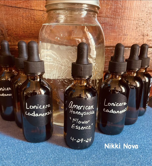I've made several medicinals, over the past few months (mostly tinctures &amp; flower essences). Been busy<a href="/tag/fun"class="tags"><span>#fun</span></a><a href="/tag/summer"class="tags"><span>#summer</span></a><a href="/tag/puppylove"class="tags"><span>#puppylove</span></a><a href="/tag/dogs"class="tags"><span>#dogs</span></a>